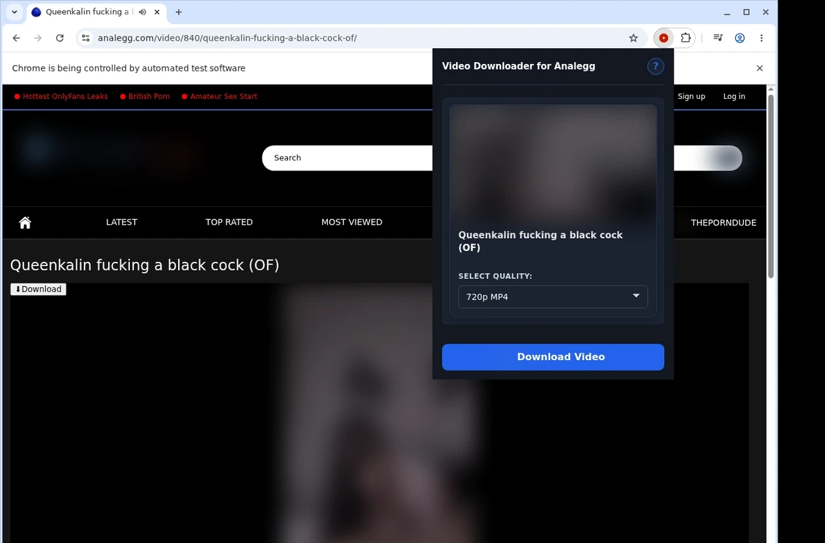Analegg Video Downloader ready state screenshot