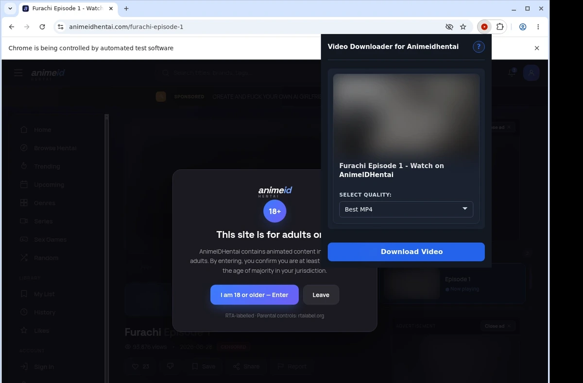 Animeidhentai Downloader ready state screenshot