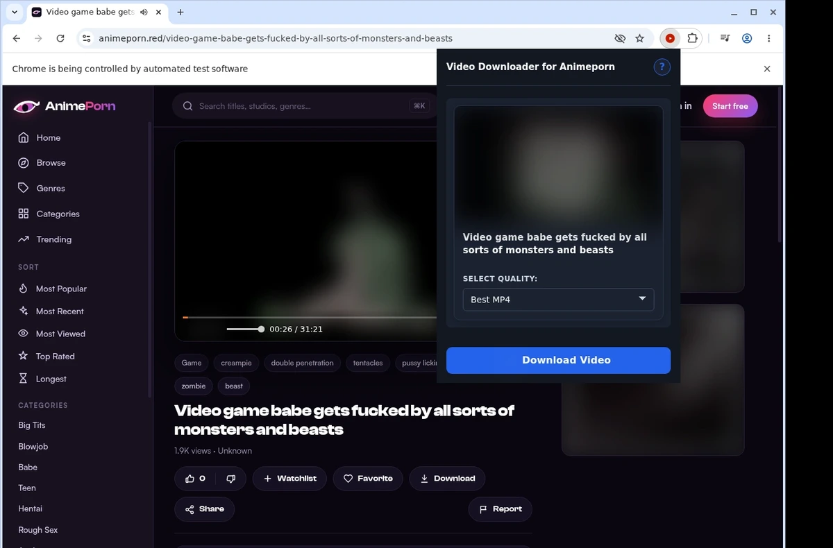 Animeporn Video Downloader ready state screenshot
