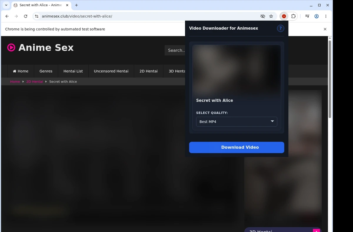 Animesex Video Downloader ready state screenshot