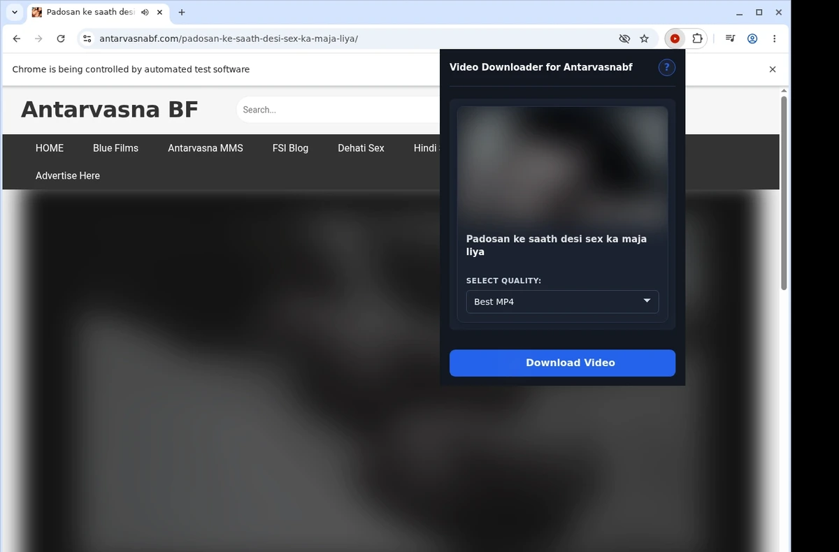 Antarvasnabf Video Downloader ready state screenshot