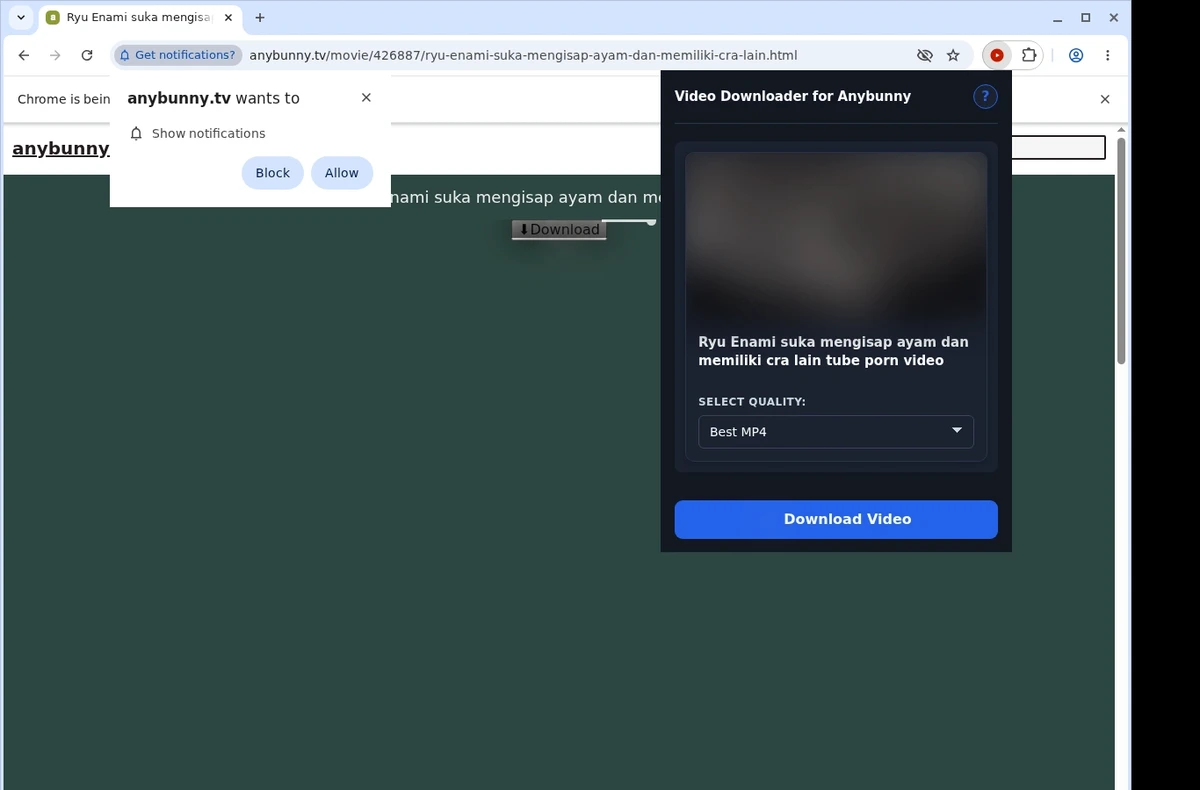 AnyBunny Downloader ready state screenshot