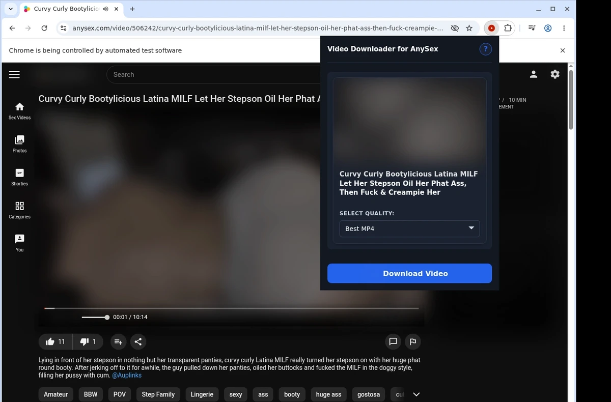 AnySex Downloader ready state screenshot