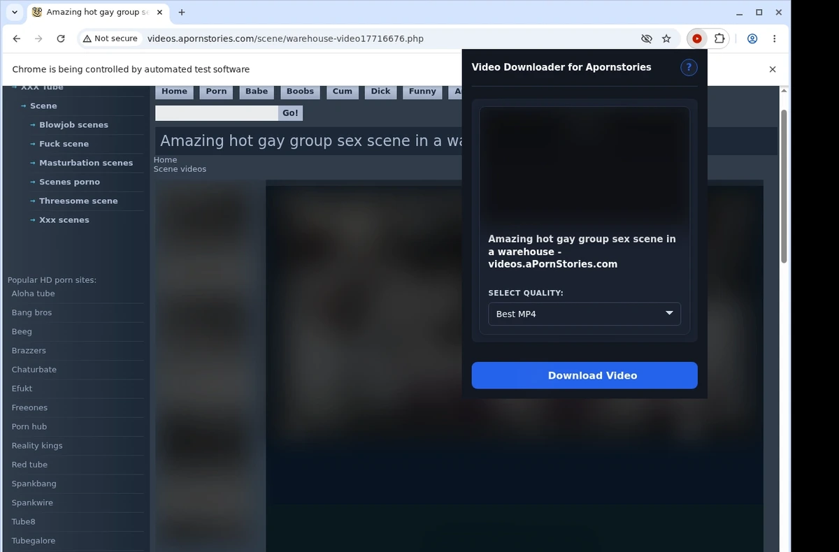 Apornstories Downloader Extension ready state screenshot