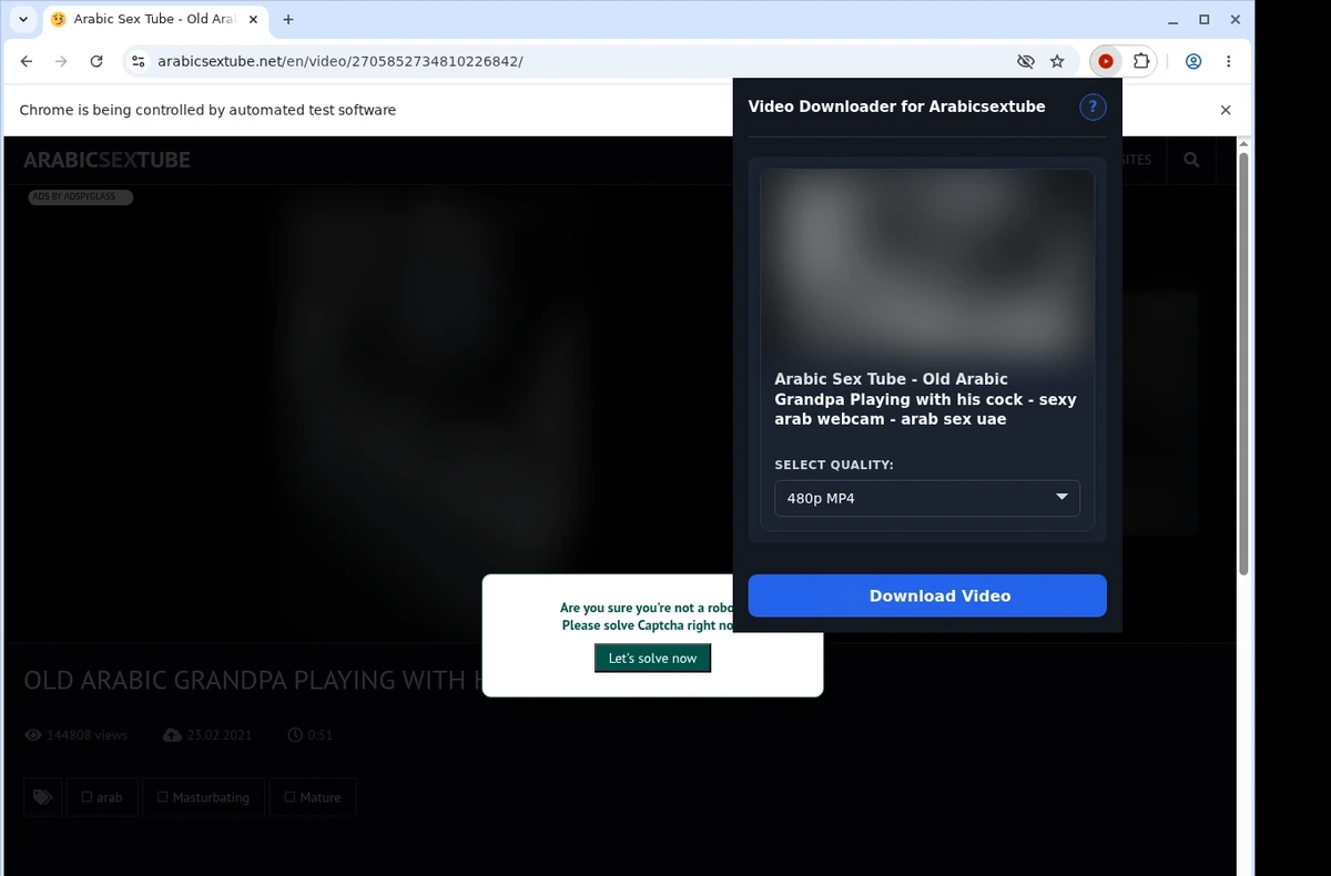 Arabicsextube Video Downloader ready state screenshot