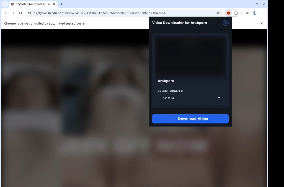 Arabporn Video Downloader ready state screenshot