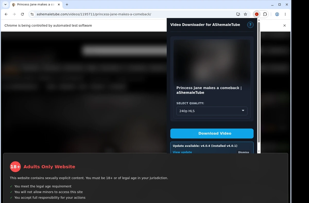 AShemaleTube Video Downloader ready state screenshot