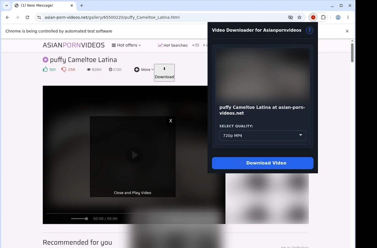 Asian Porn Videos Downloader ready state screenshot