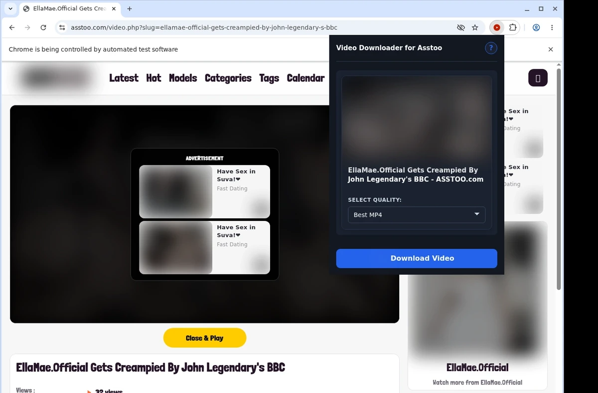 Asstoo Video Downloader ready state screenshot