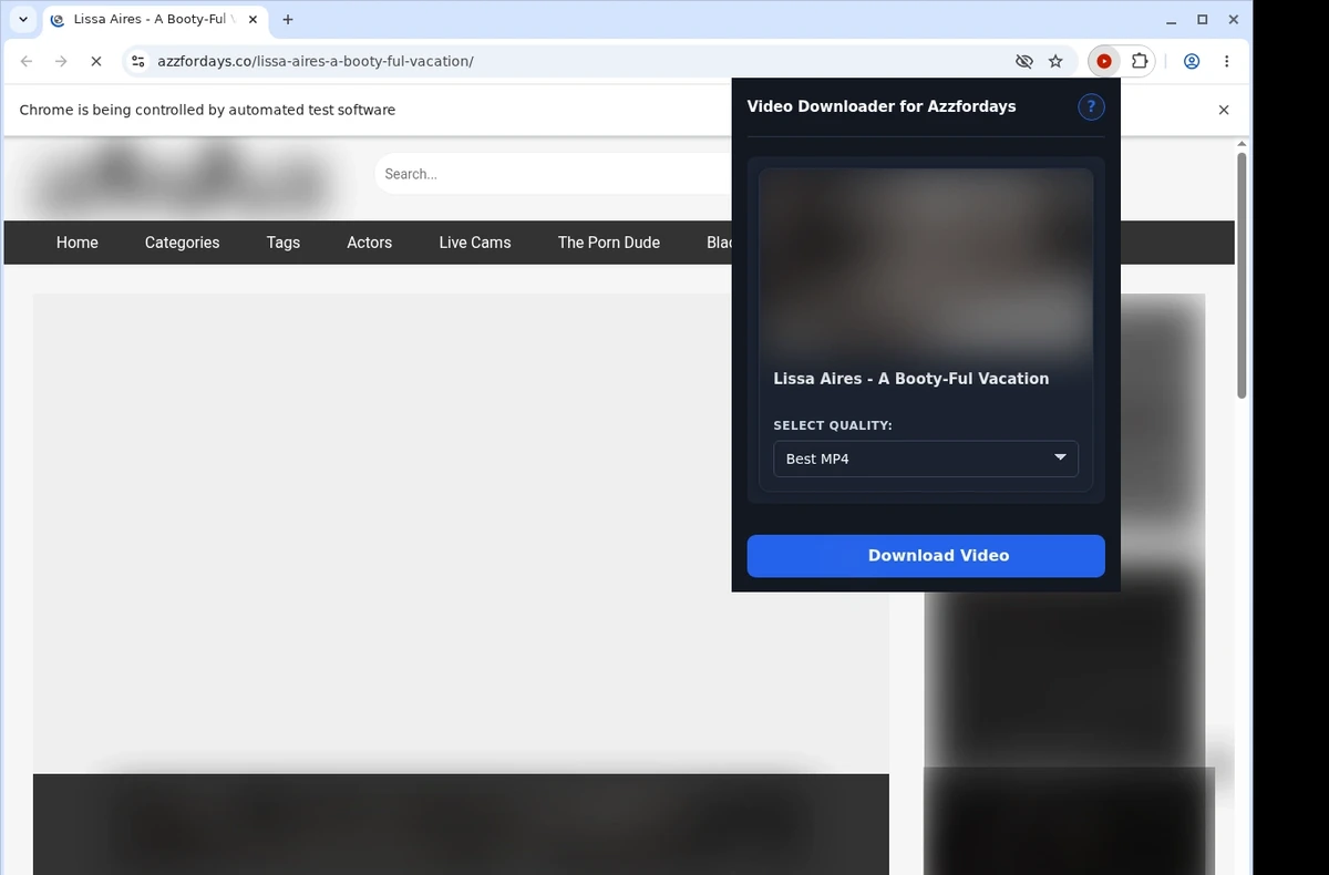 AzzForDays Downloader ready state screenshot