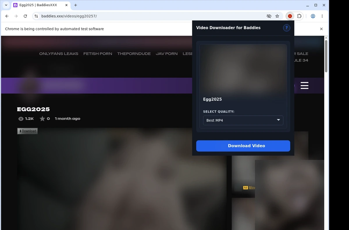 Baddies Video Downloader ready state screenshot
