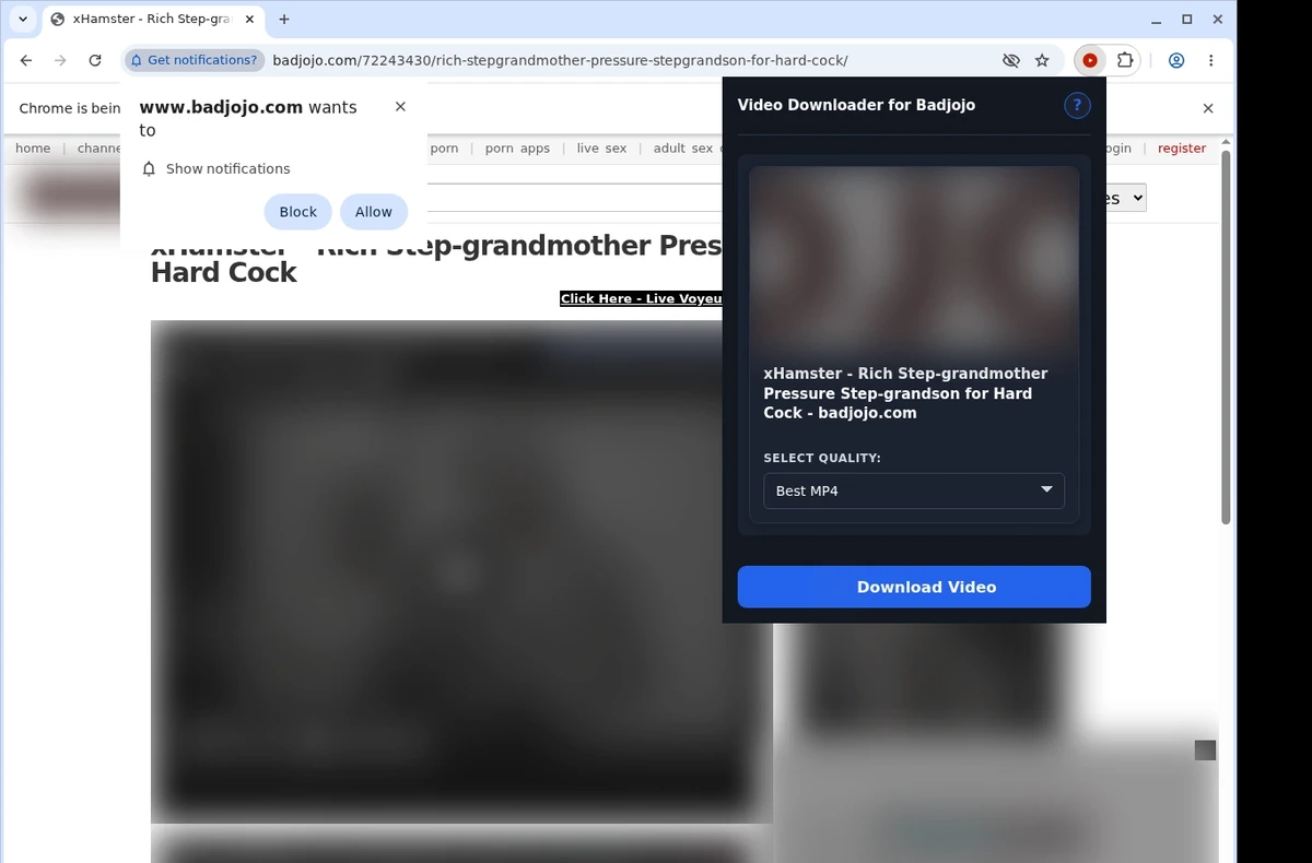 Badjojo Downloader ready state screenshot