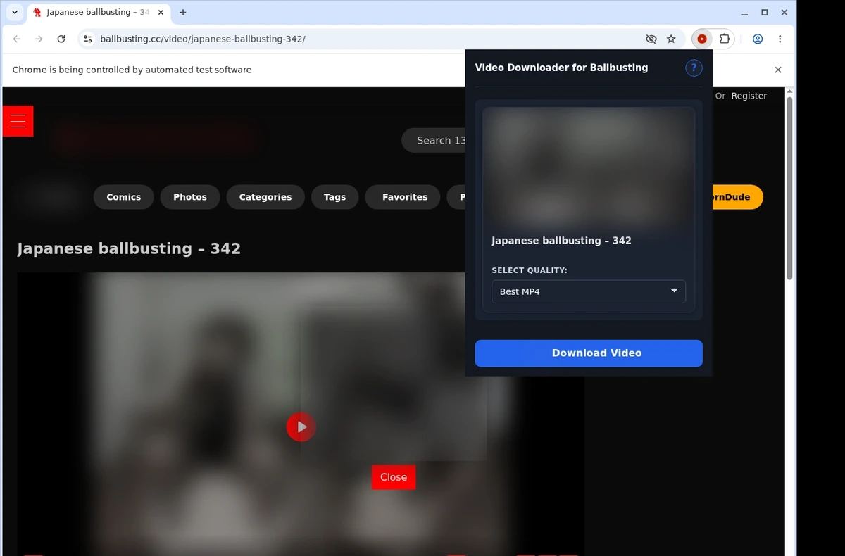 Ballbusting Video Downloader ready state screenshot