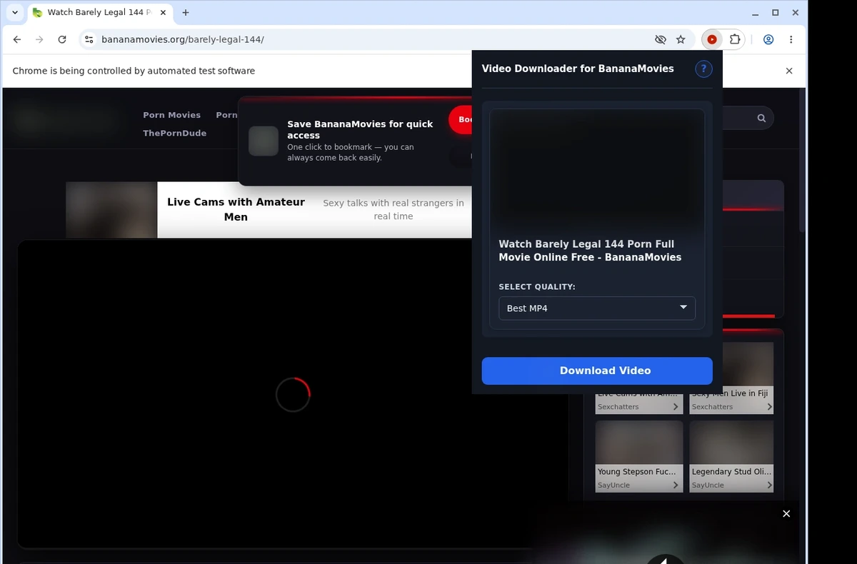 BananaMovies Downloader ready state screenshot