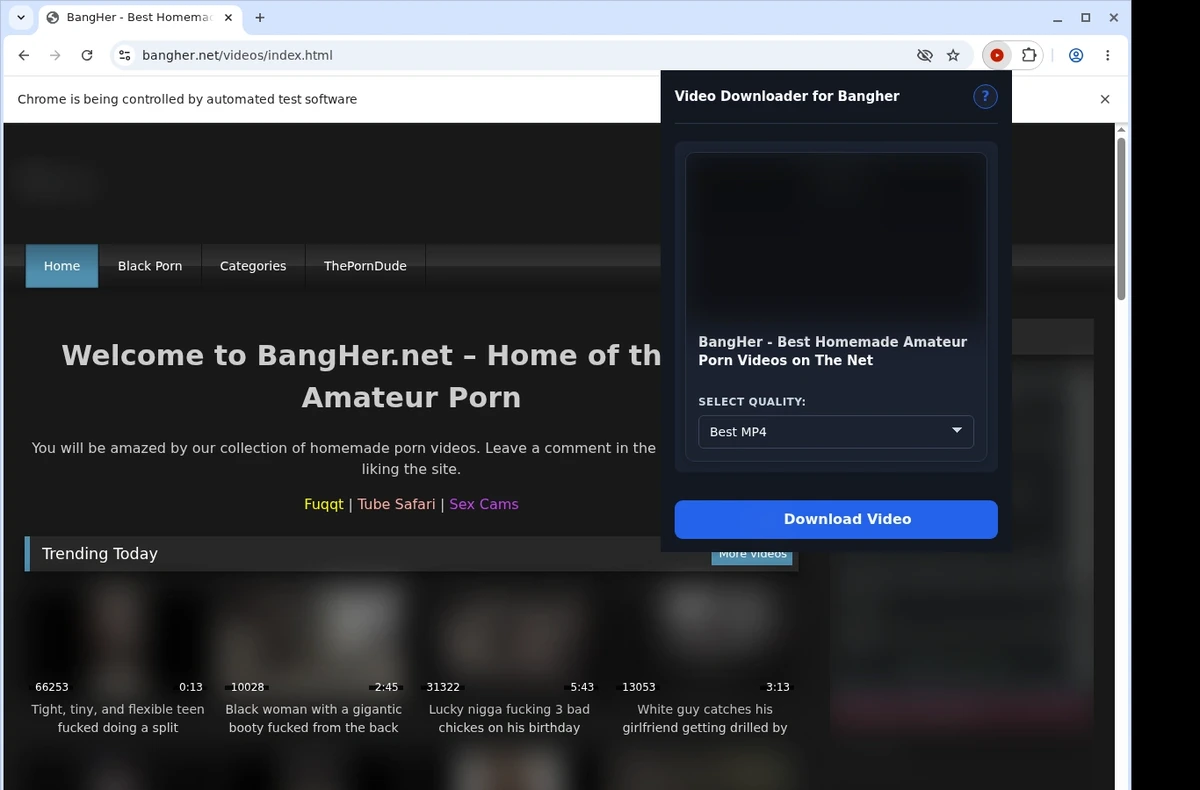 Bangher Downloader ready state screenshot