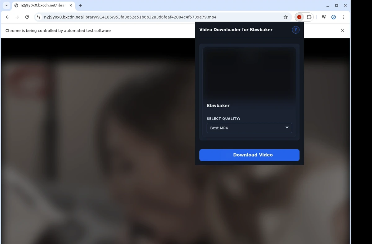 BBWBaker Downloader ready state screenshot