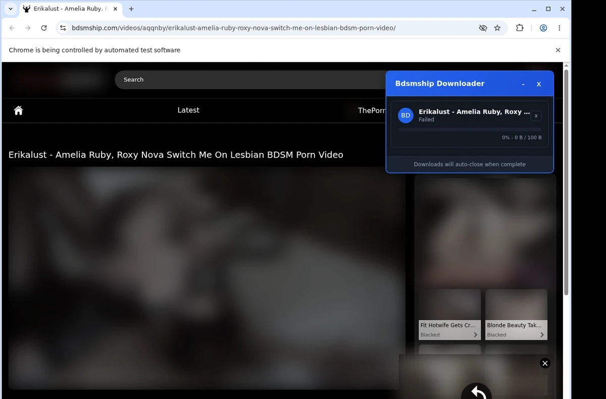 Bdsmship Downloader ready state screenshot
