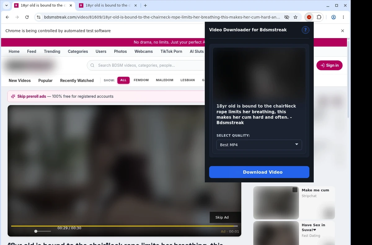 Bdsmstreak Downloader ready state screenshot