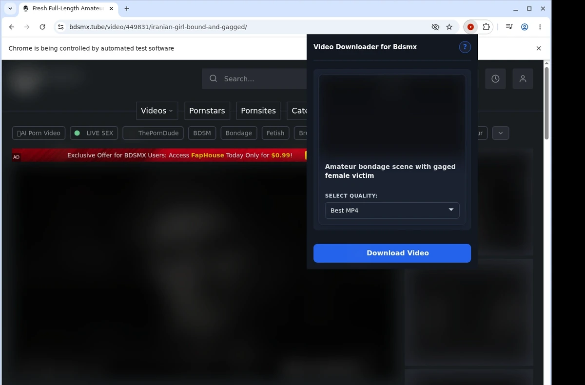 Bdsmx Downloader ready state screenshot