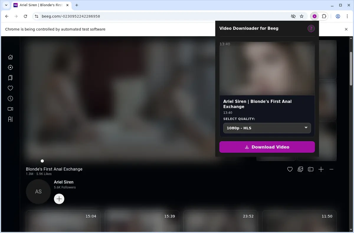 Beeg Video Downloader fullscreen screenshot