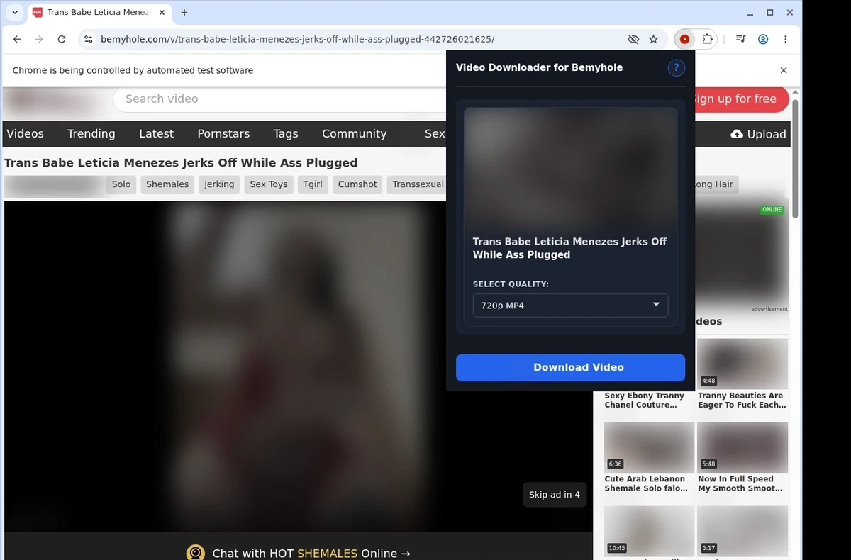 Bemyhole Downloader ready state screenshot