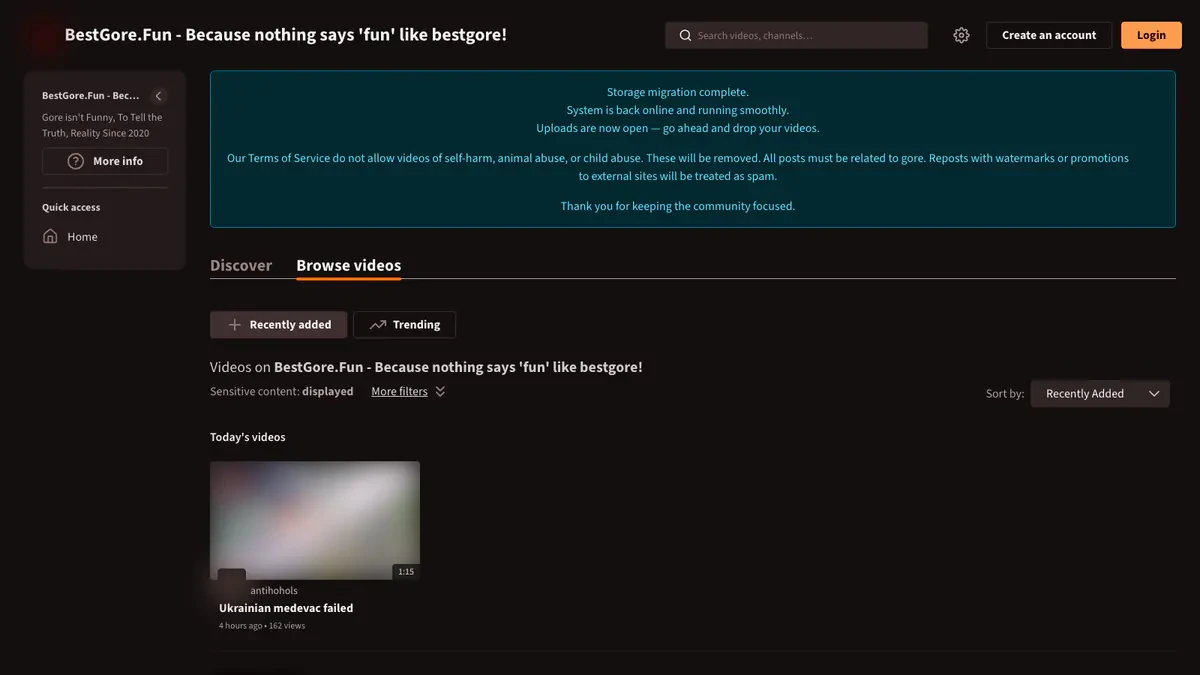 BestGore Downloader website preview