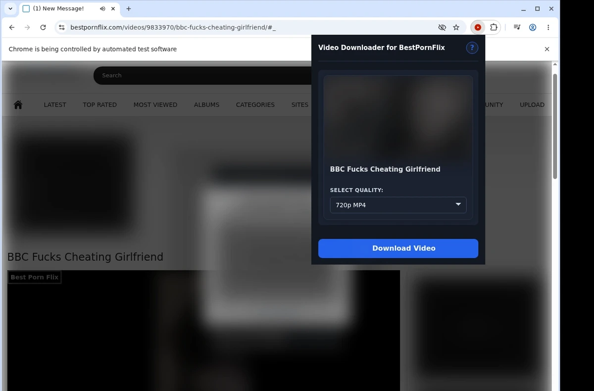 BestPornFlix Downloader ready state screenshot