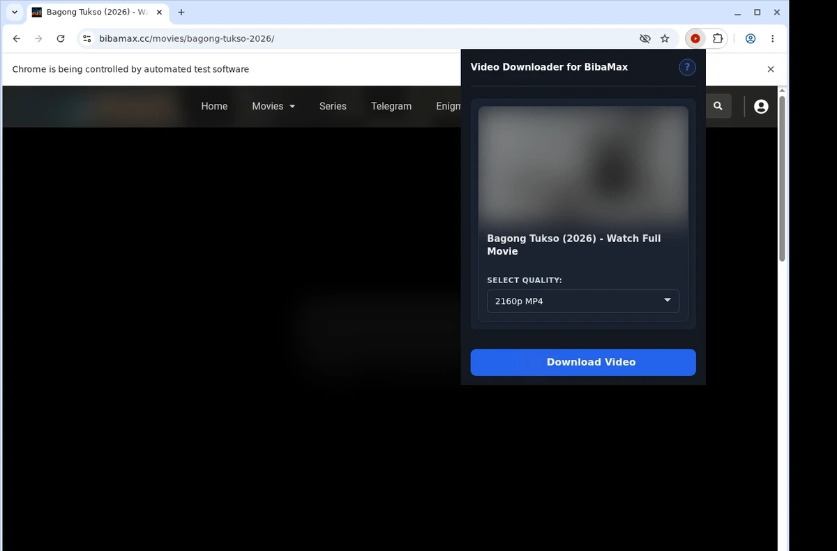 BibaMax Downloader ready state screenshot
