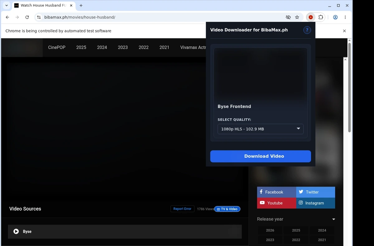 BibaMax.ph Downloader ready state screenshot