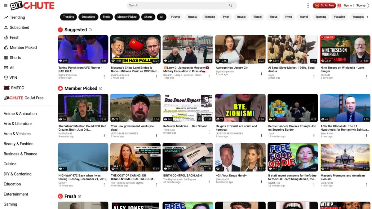 BitChute Downloader website homepage