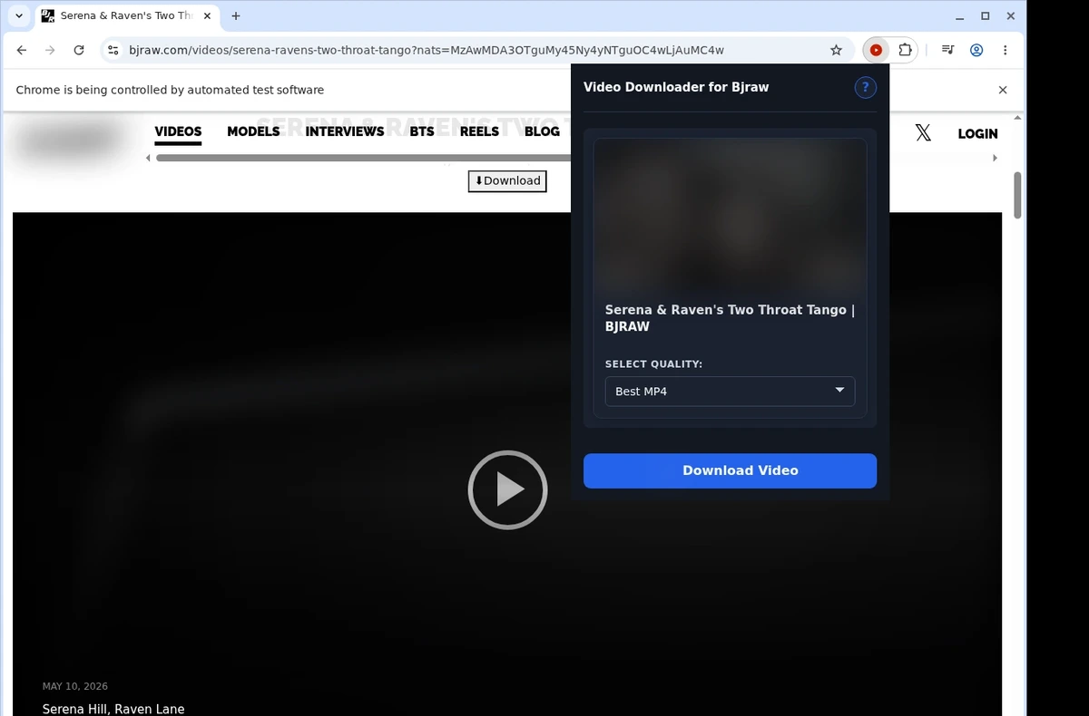 BJRaw Video Downloader ready state screenshot