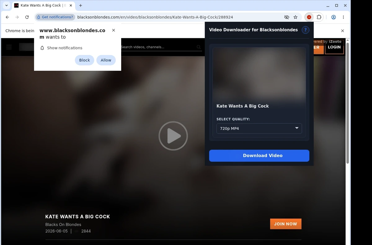 BlacksOnBlondes Video Downloader ready state screenshot