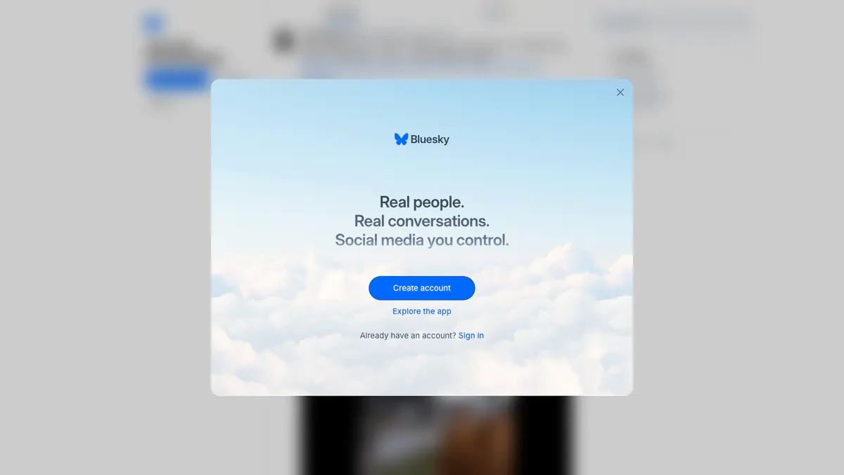 Bluesky Downloader website preview