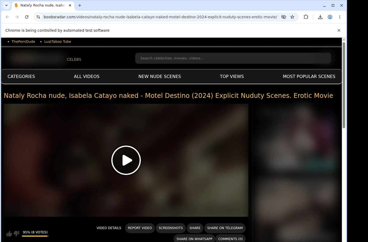 BoobsRadar Video Downloader ready state screenshot
