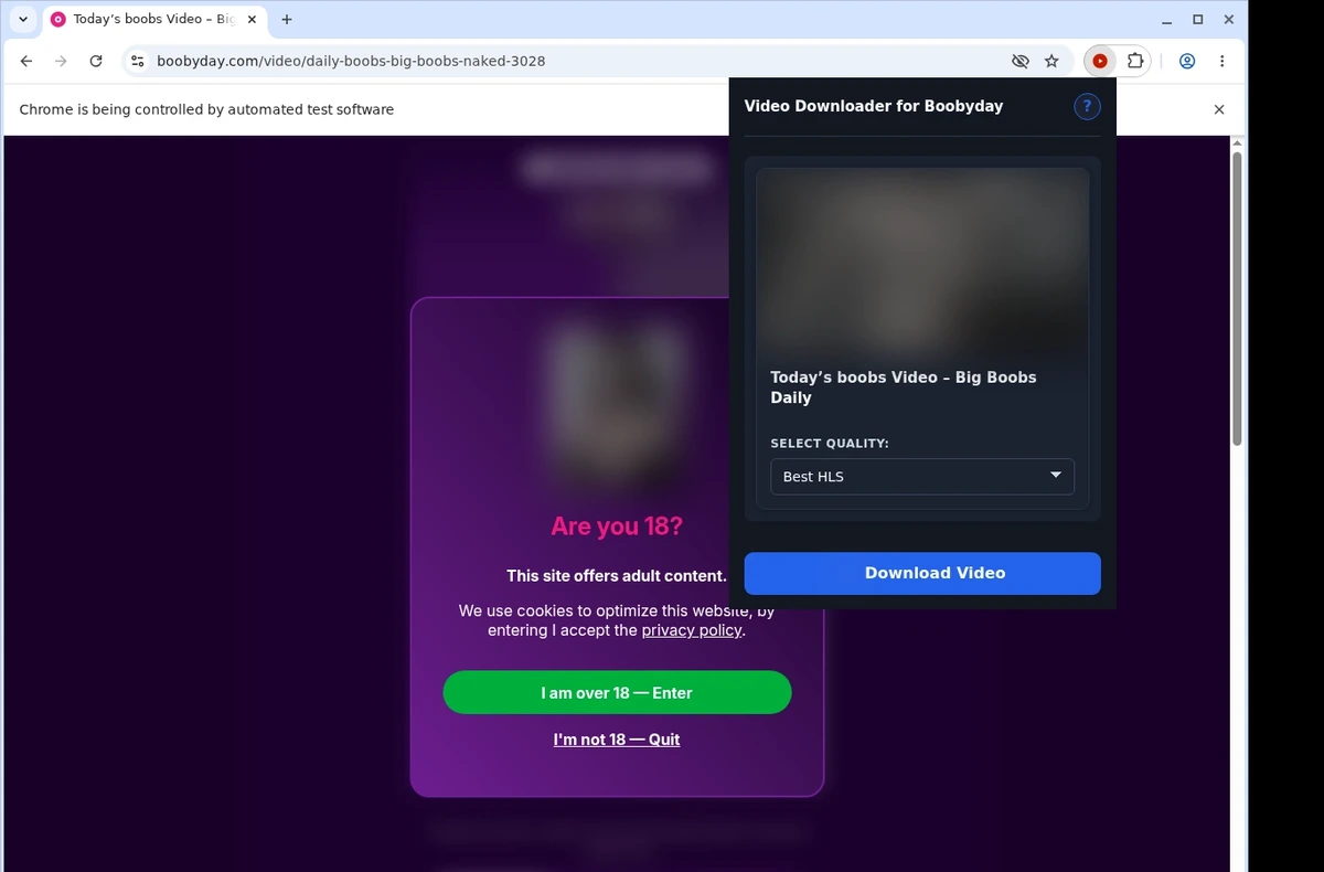 BoobyDay Video Downloader ready state screenshot