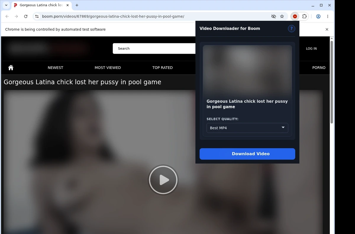 Boom Video Downloader ready state screenshot