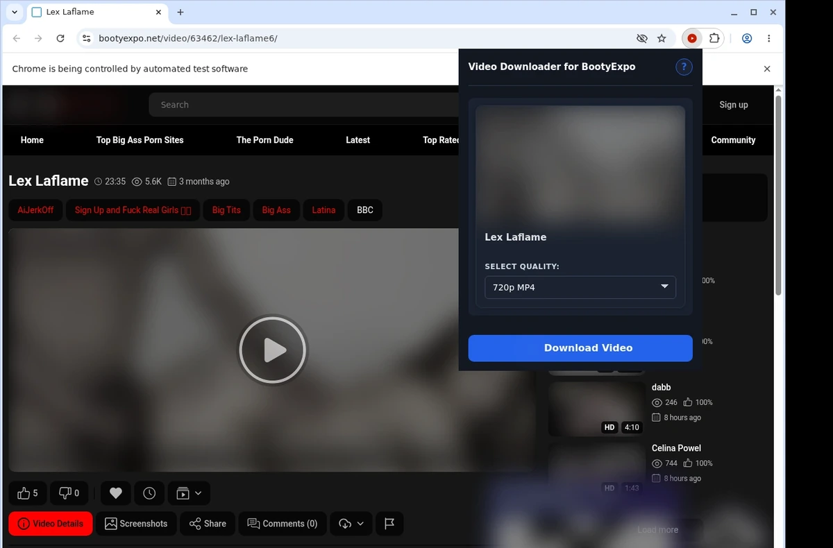 BootyExpo Downloader ready state screenshot