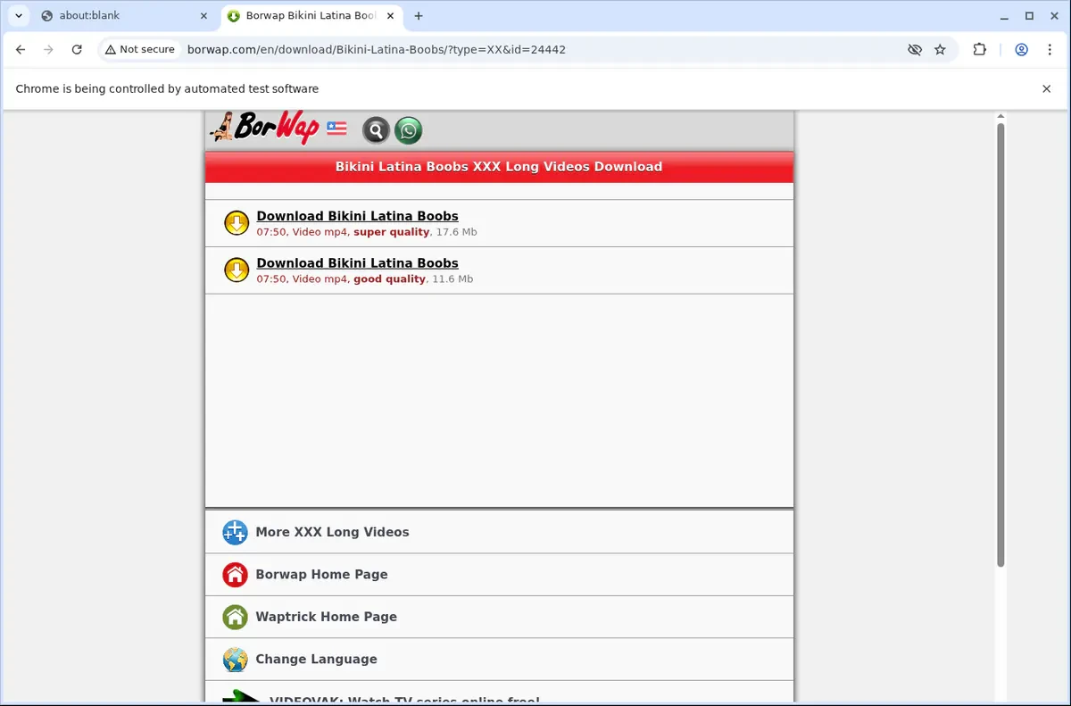 BorWap Downloader fullscreen screenshot