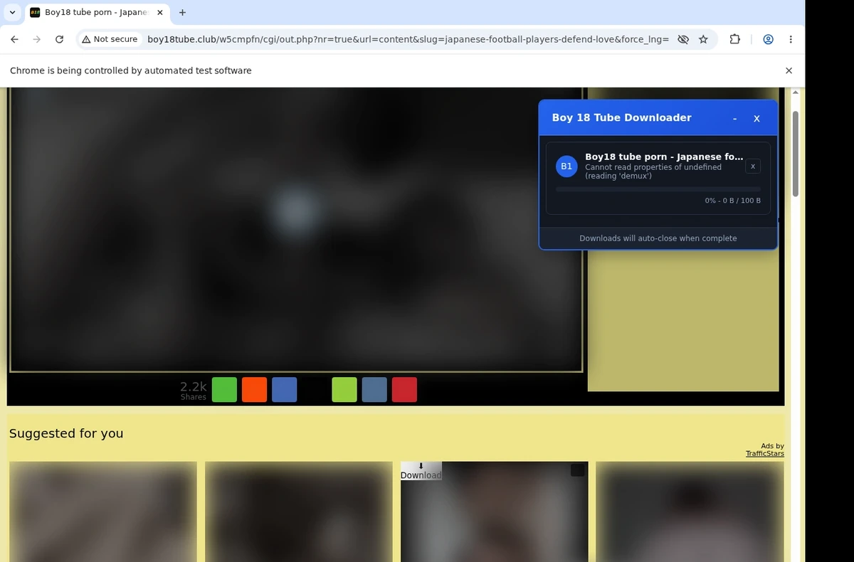Boy18Tube Video Downloader ready state screenshot