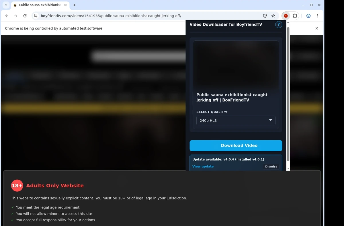 Boyfriendtv Video Downloader ready state screenshot