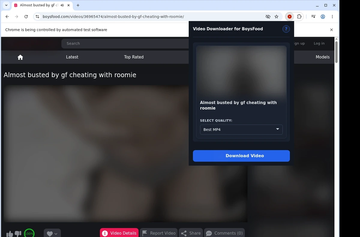 BoysFood Downloader ready state screenshot