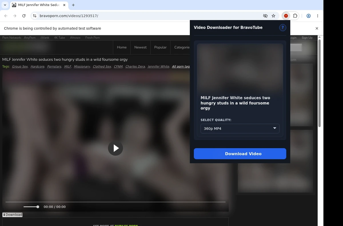 Bravotube Video Downloader ready state screenshot