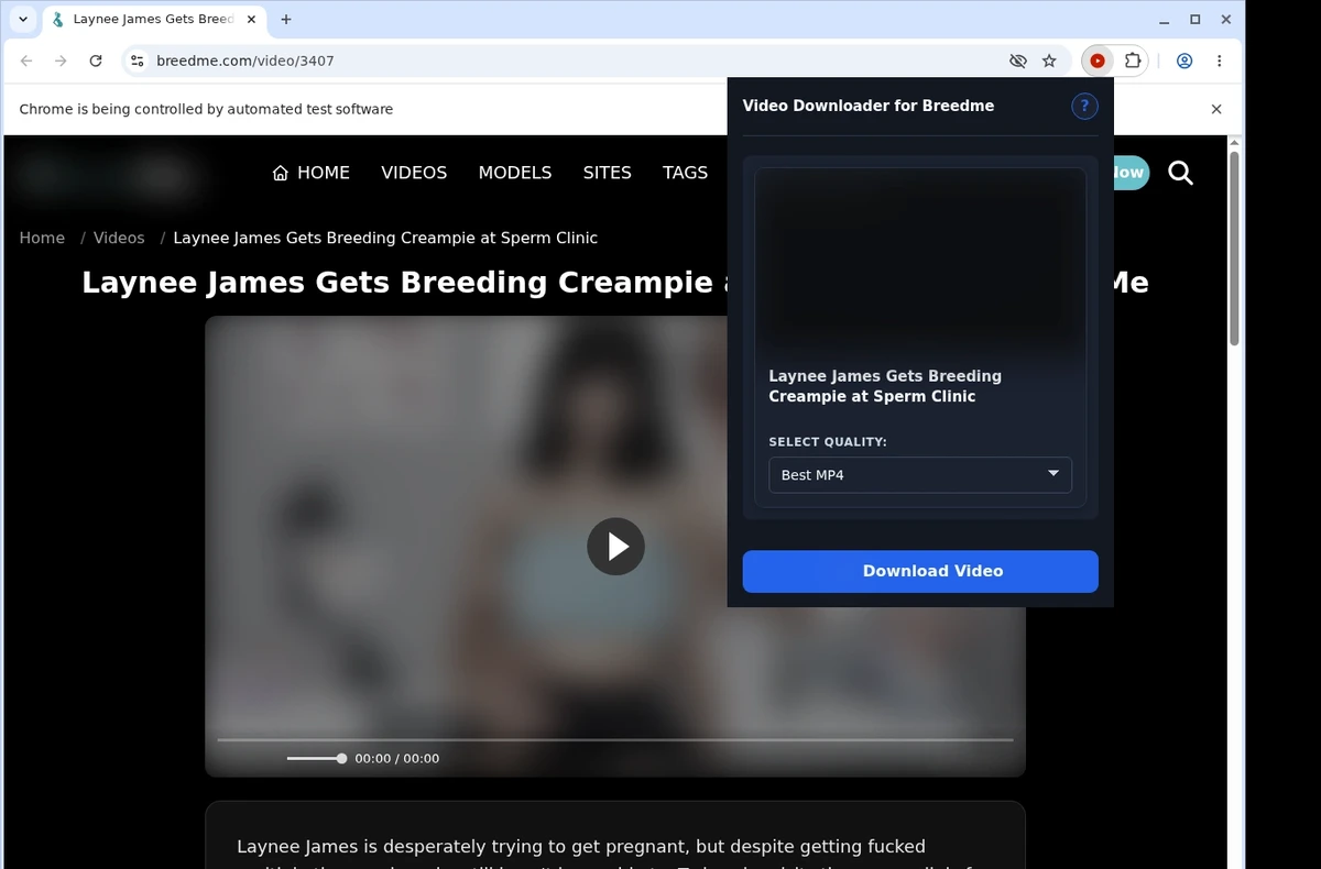 BreedMe Video Downloader ready state screenshot