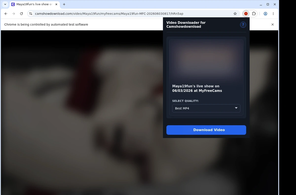 CamShowDownload Video Downloader ready state screenshot
