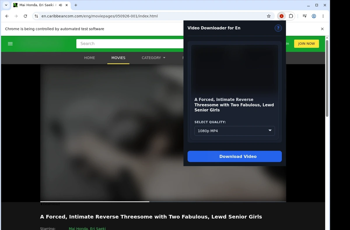 Caribbeancom Video Downloader ready state screenshot