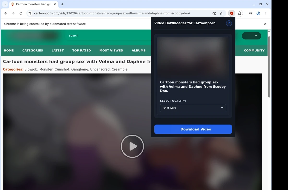 CartoonPorn Video Downloader ready state screenshot