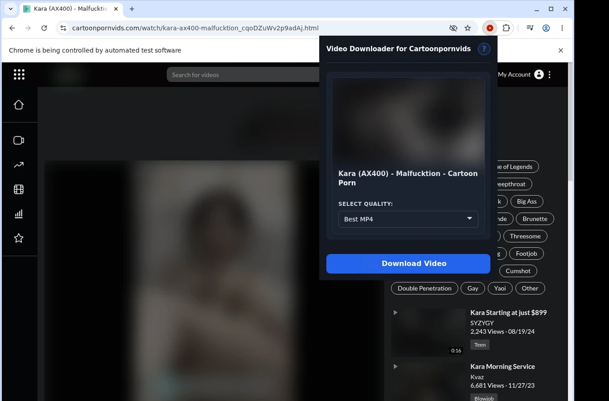 CartoonPornVids Video Downloader ready state screenshot
