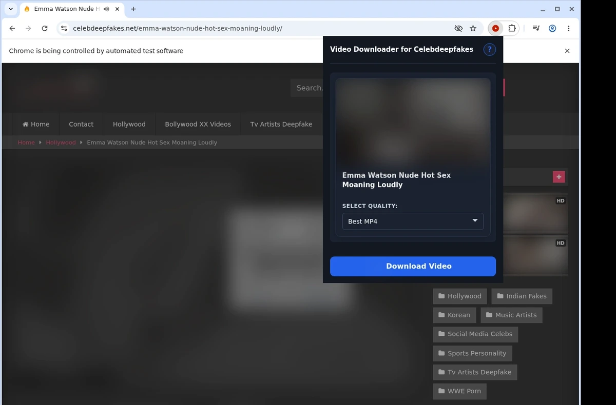 CelebDeepfakes Video Downloader ready state screenshot