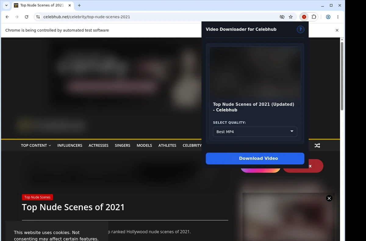 CelebHub Video Downloader ready state screenshot