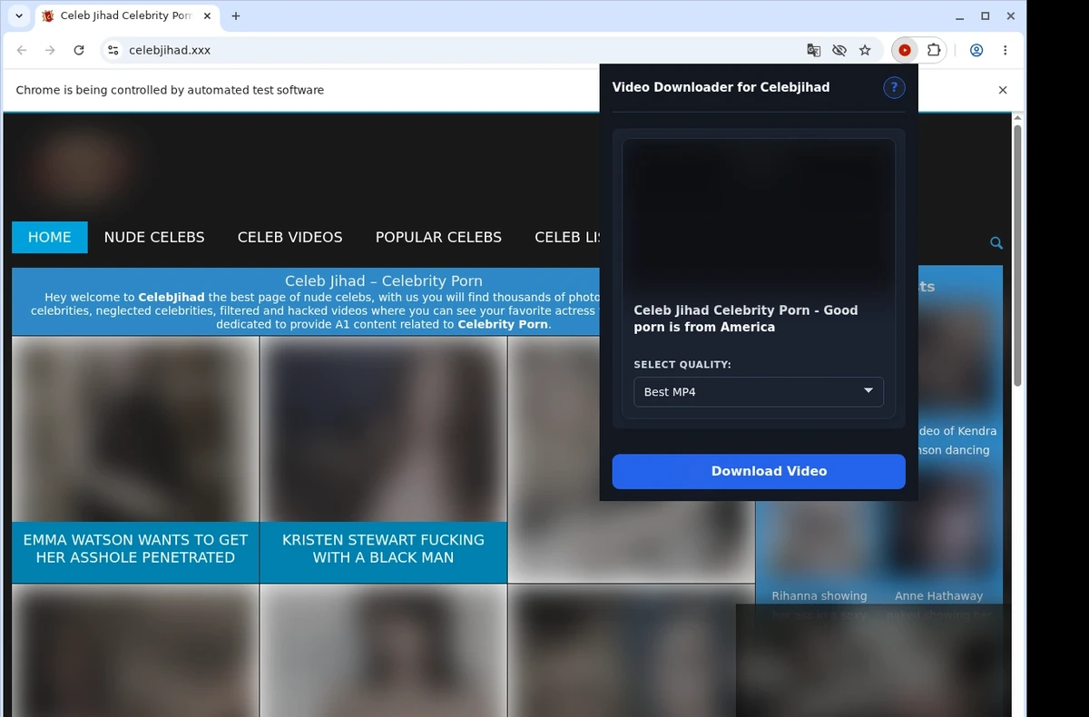 Celebjihad Downloader ready state screenshot
